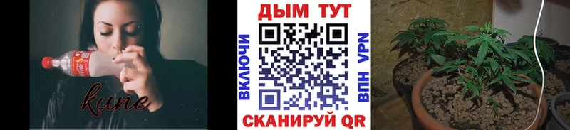 Хочу наркоту Электрогорск КОКАИН  Alpha-PVP  Мефедрон 