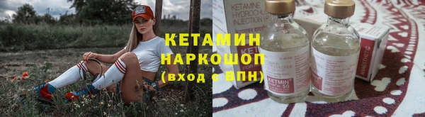 прущие грибы Горно-Алтайск