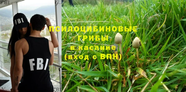 прущие грибы Горно-Алтайск