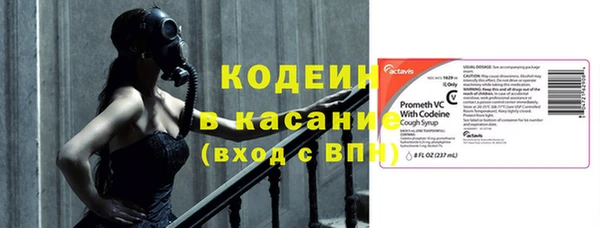 прущие грибы Горно-Алтайск