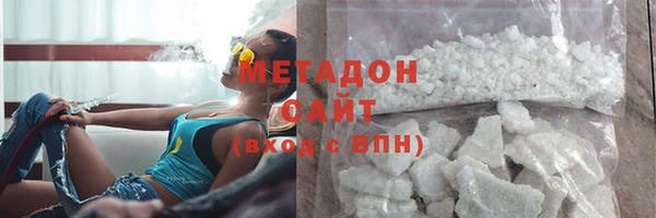 прущие грибы Горно-Алтайск