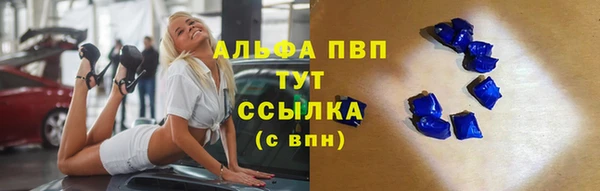 прущие грибы Горно-Алтайск