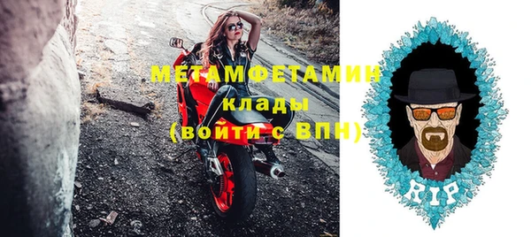 прущие грибы Горно-Алтайск
