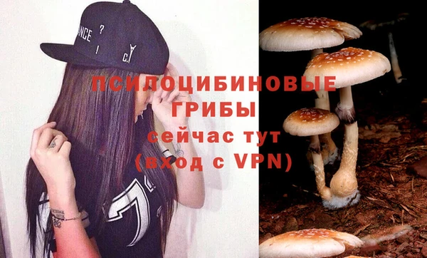 герыч Горняк