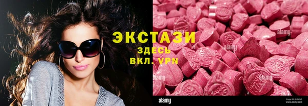 прущие грибы Горно-Алтайск