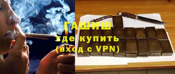 прущие грибы Горно-Алтайск