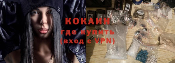 прущие грибы Горно-Алтайск